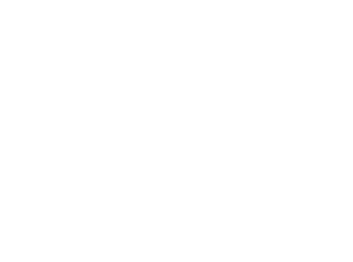 IMSA Michelin Endurance Cup